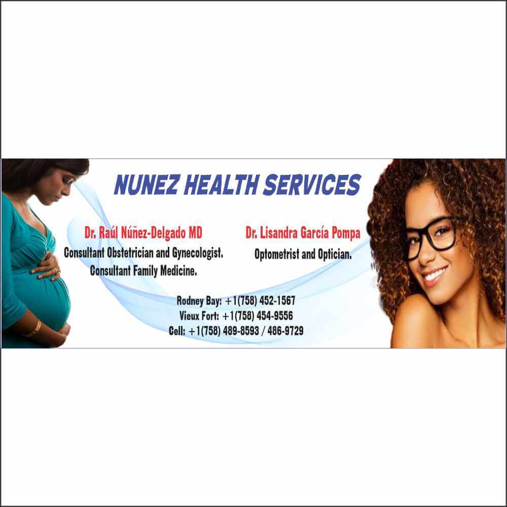 Portfolio Nunez Health Service - IM IMPORT & EXPORT